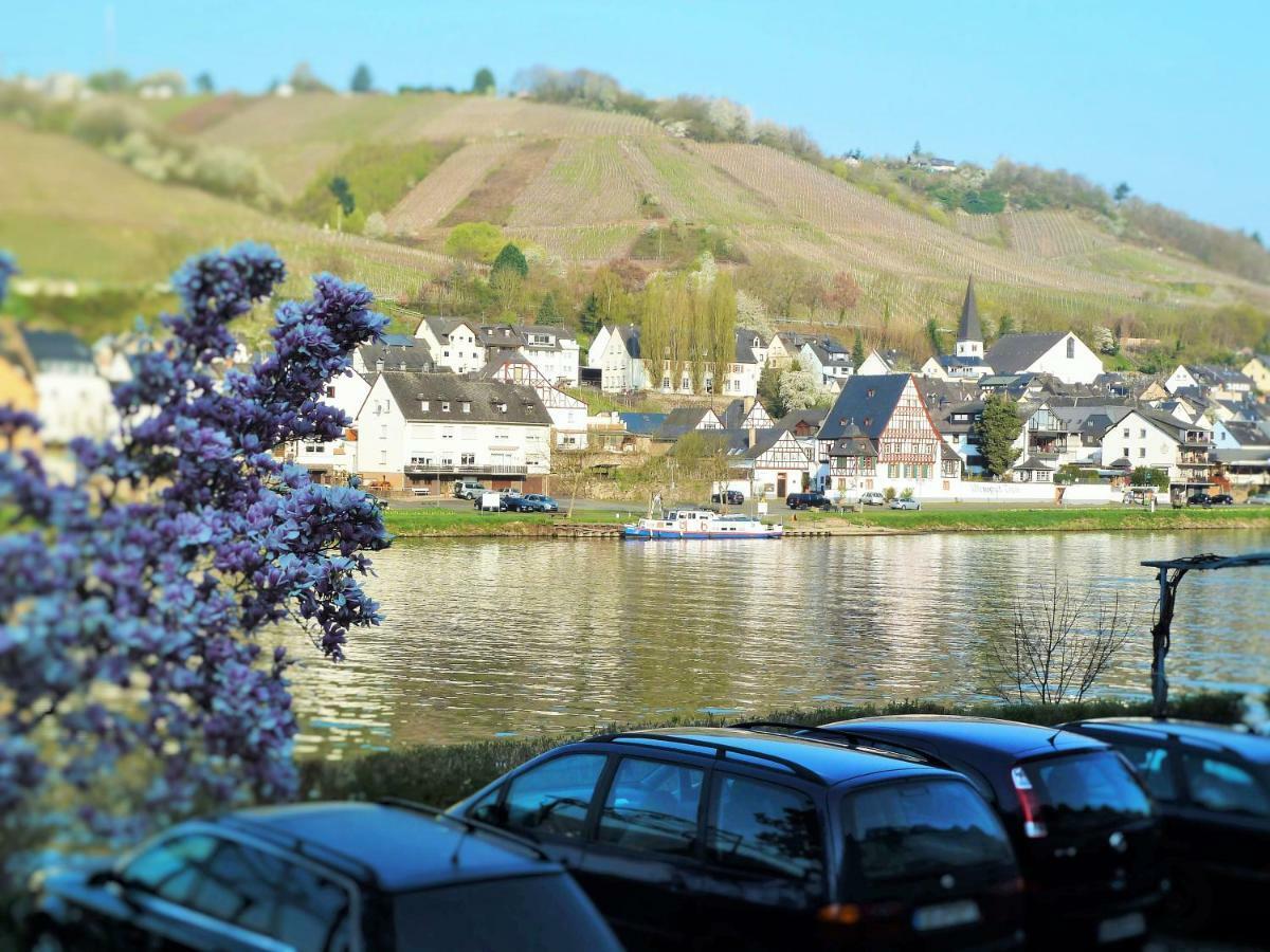 Apartament Mosel Ausblick Zell an der Mosel Zewnętrze zdjęcie