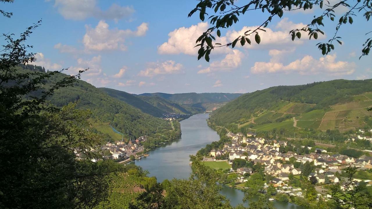 Apartament Mosel Ausblick Zell an der Mosel Zewnętrze zdjęcie